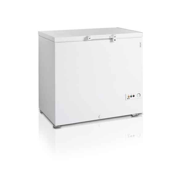 Морозильні ларі TEFCOLD FR305 SL