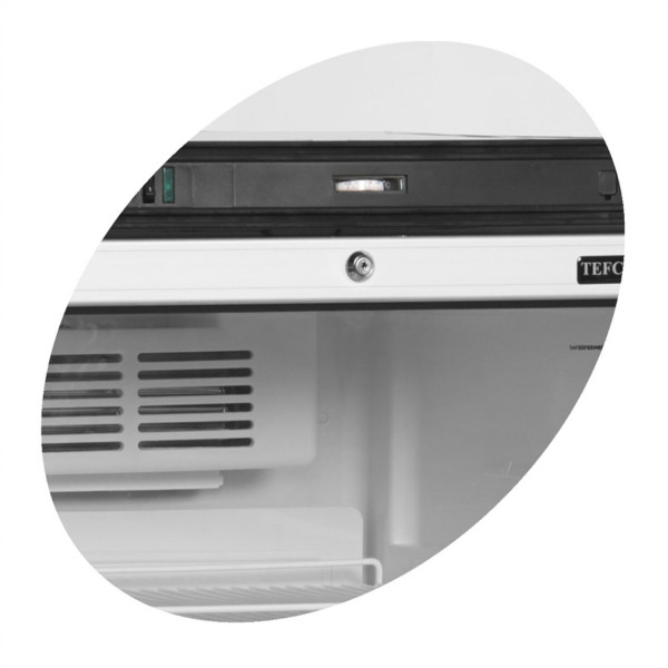 Холодильні шафи TEFCOLD FS2380
