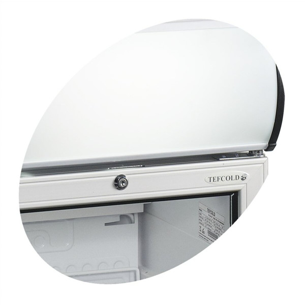 Холодильные шкафы TEFCOLD FS80CP