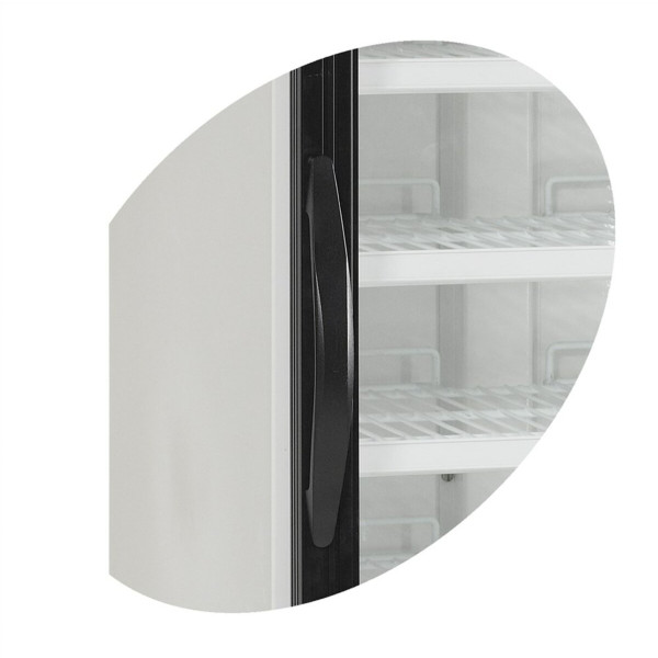 Морозильні шафи TEFCOLD NF2500G