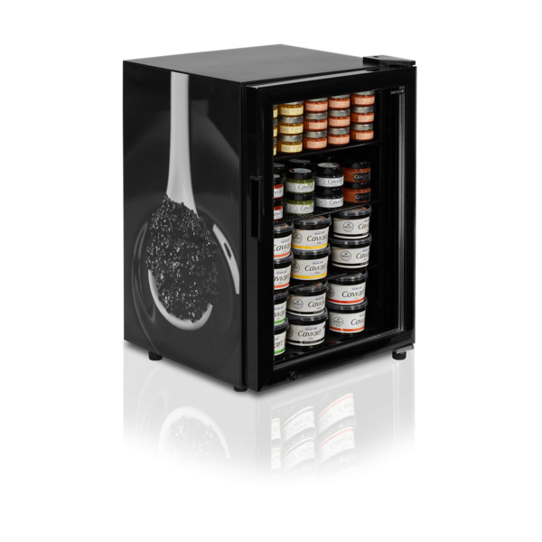 Морозильные шкафы TEFCOLD UR90G-SUB ZERO